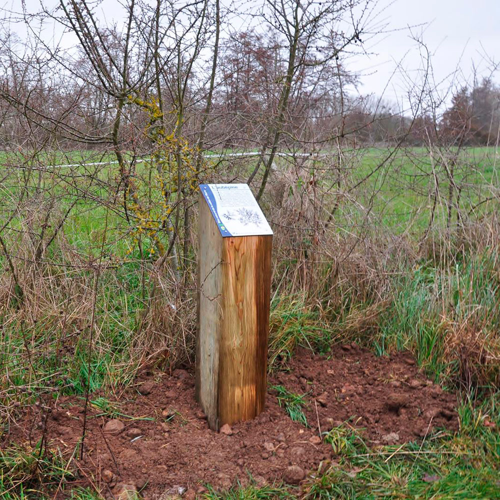 borne-interpretation-carree-photo