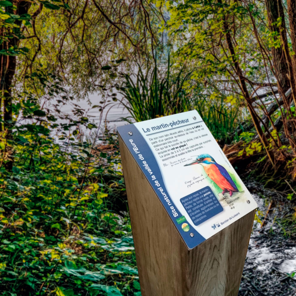 borne-interpretation-carree-photo2