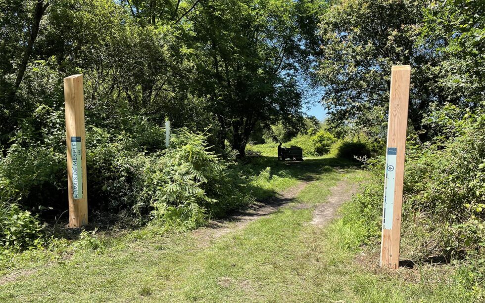 portique sur-mesure en bois borne signalétique environnementale entrée zone