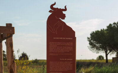 Culture Camarguaise au Parc d’Aubord (30)