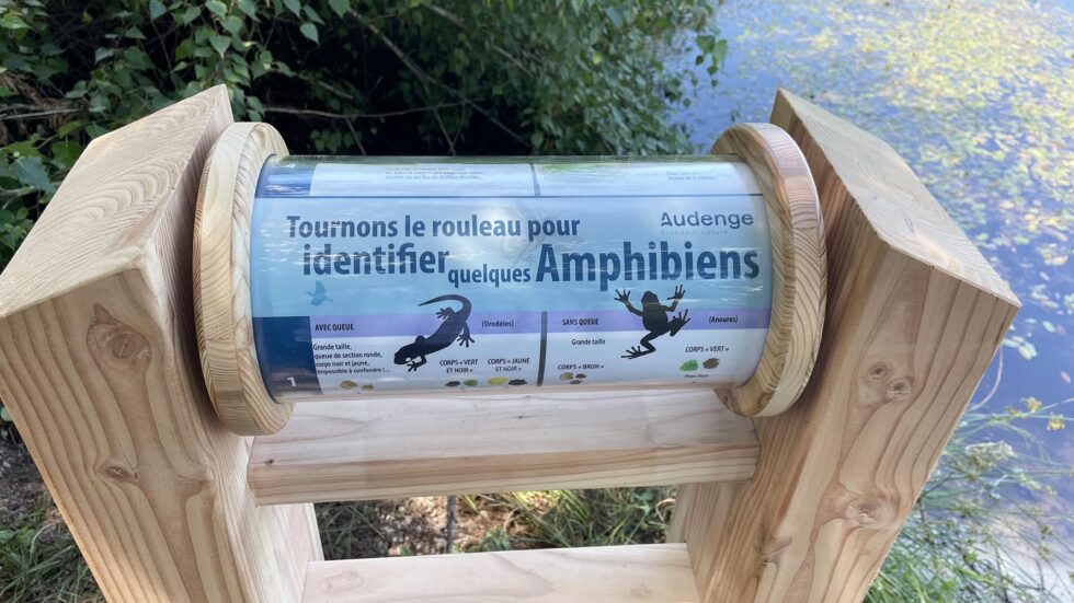 mobilier sur-mesure pédagogique faune et flore