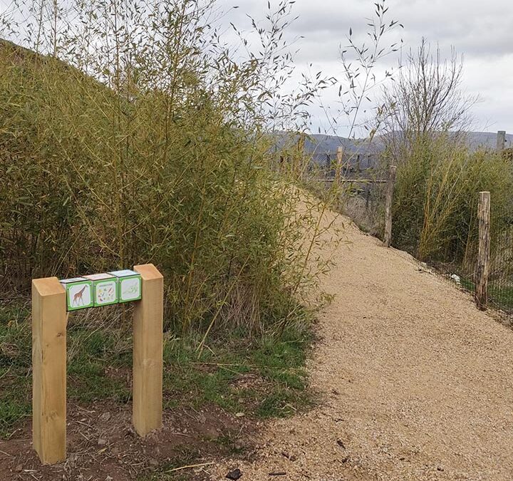 Parc Animalier d’Auvergne (63)