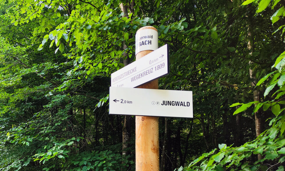 gravure et peinture lames directionnelles randonnées en forêt