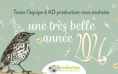 Meilleurs vœux 2026