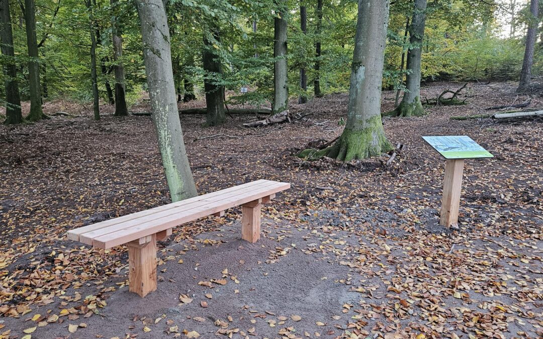 Aménagement d’un itinéraire pédestre – Pays de Wissembourg (67)