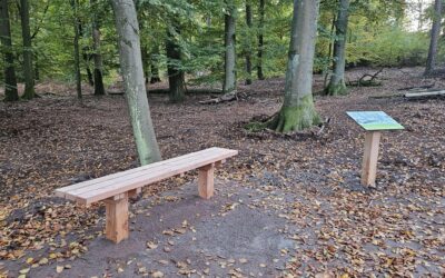 Aménagement d’un itinéraire pédestre – Pays de Wissembourg (67)