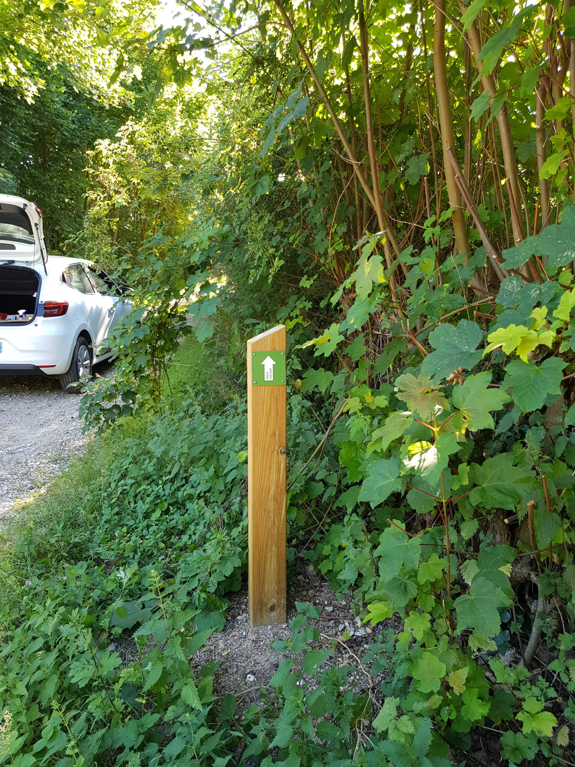 Borne de balisage en bois