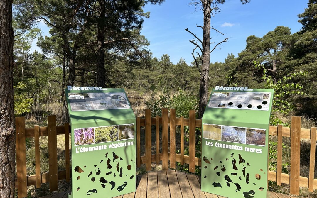 Sentier de Réserve Naturelle Champagne Ardenne (51)