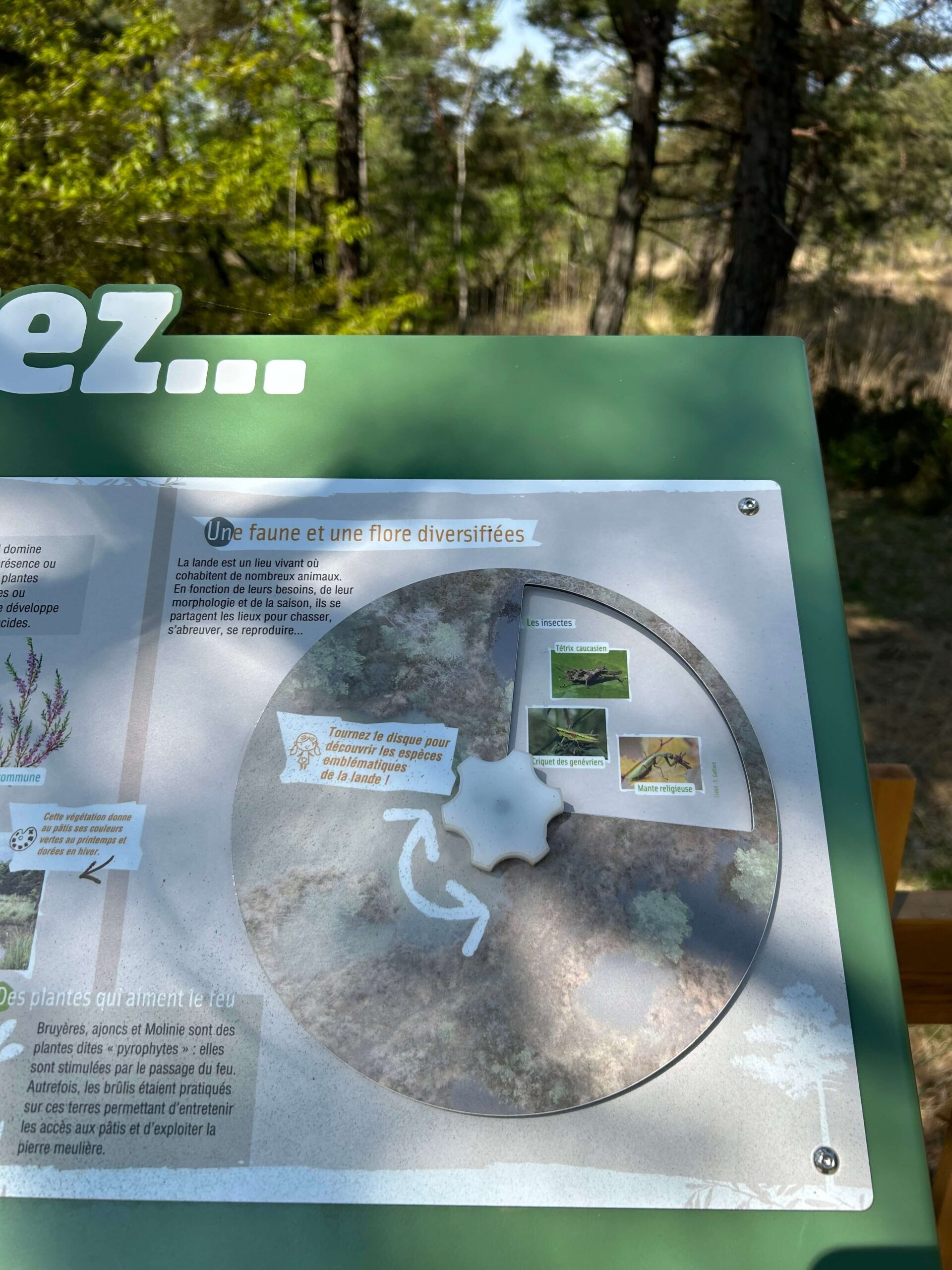 Sentier ludique  CEN Champagne Ardenne