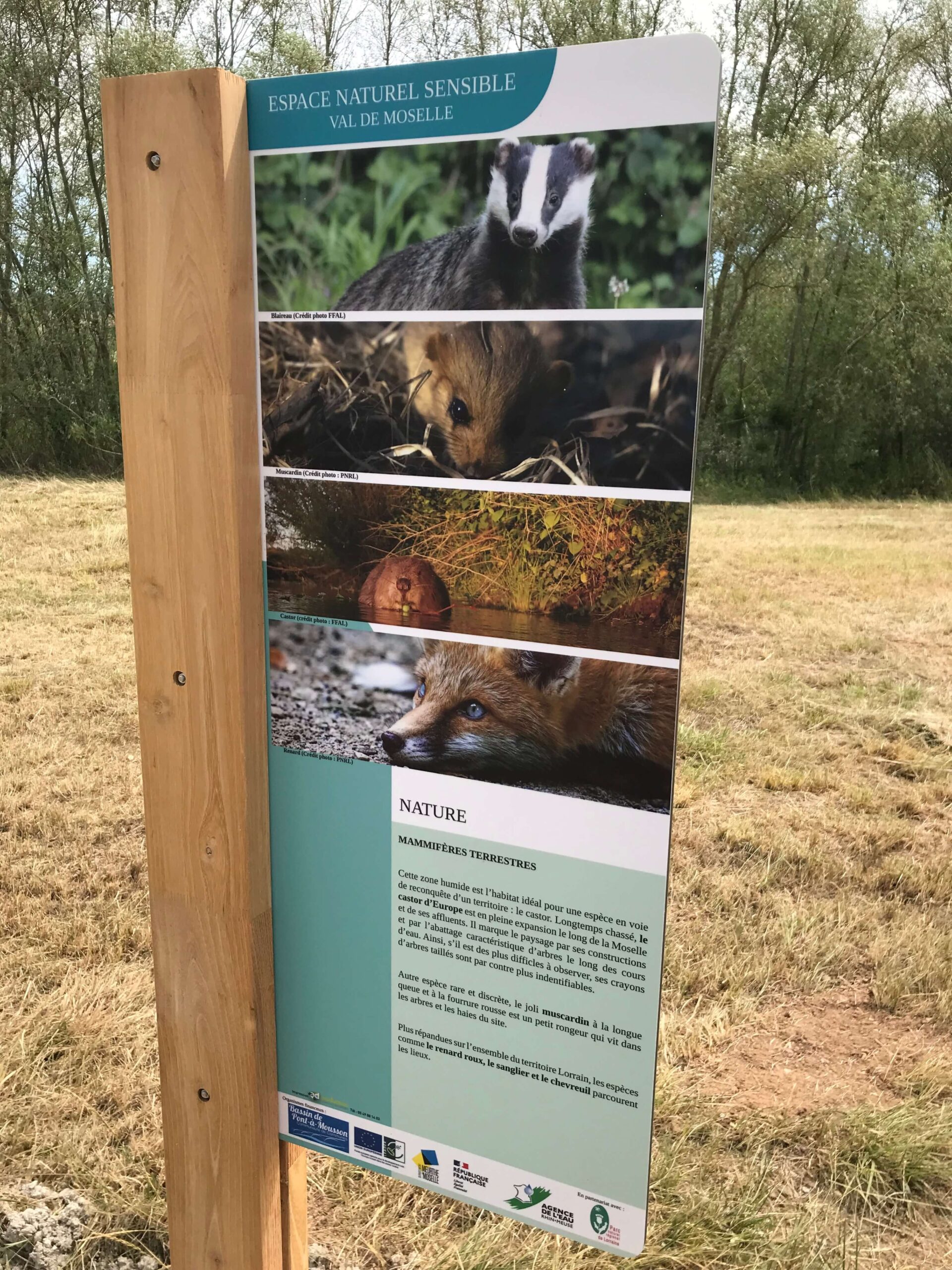 Panneau pour signalétique d'interprétation