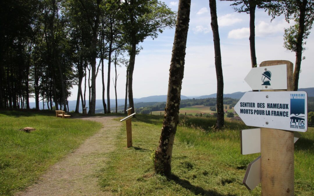 Saison touristique : pourquoi la signalétique se prépare bien avant l’arrivée des visiteurs