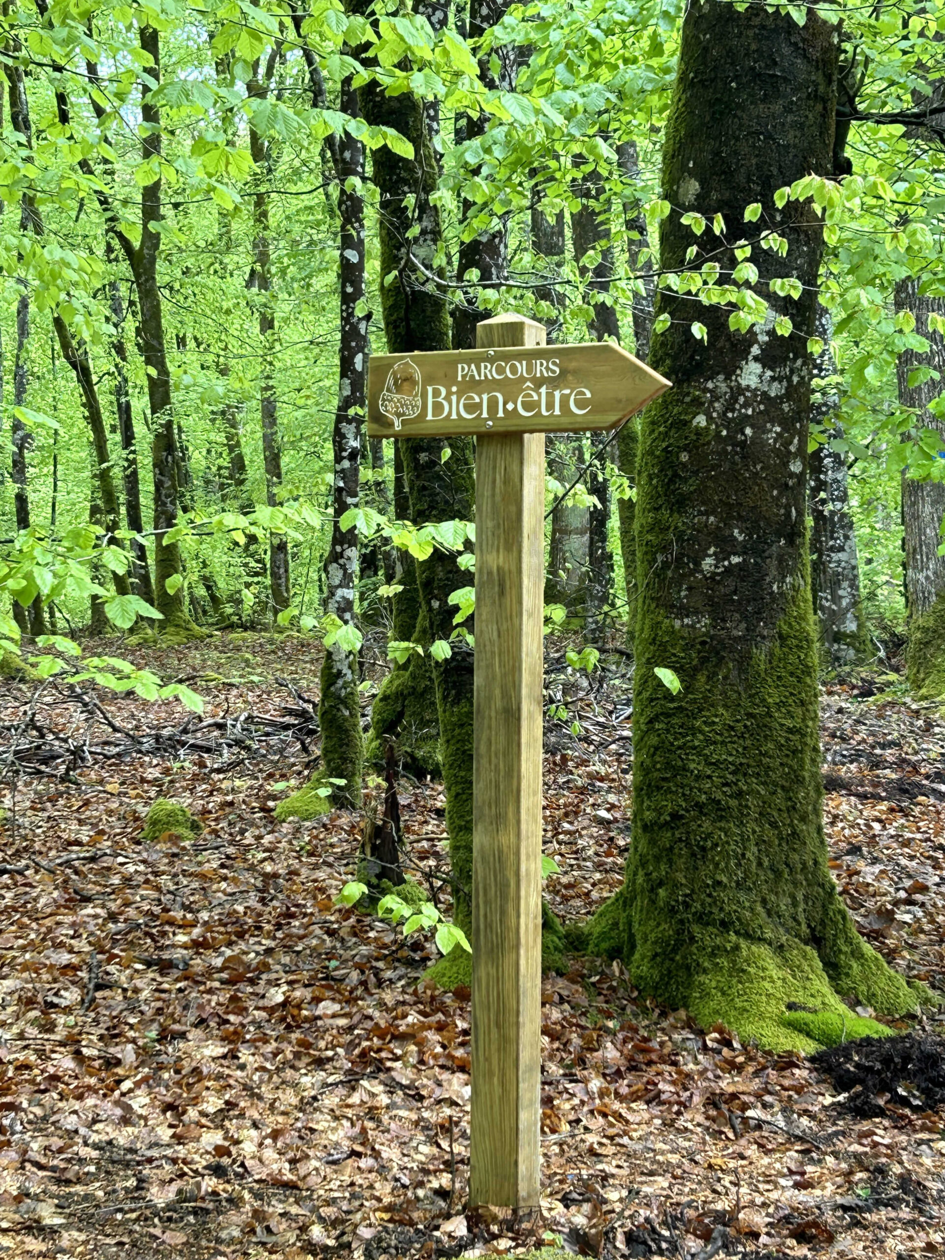 Flèche en bois gravé