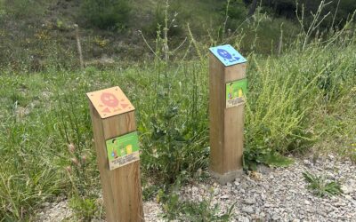 Aménagement des sentiers du Parc des Sports de Venelles