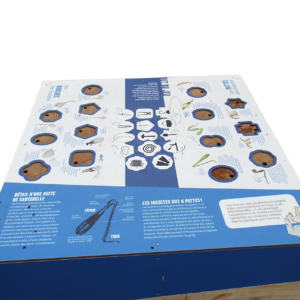 jeu filins insectes