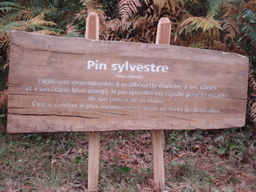 signalétique paysagère planche gravée