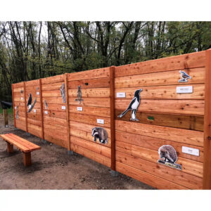 Mur en bois et animaux en compact stratifié